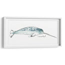 Cetacea Narwhal - June Erica Vess | Cuadro decorativo de Canvas Lab