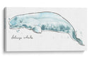 Cetacea Beluga Whale - June Erica Vess | Cuadro decorativo de Canvas Lab