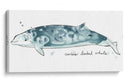 Cetacea Cuviers Beaked Whale - June Erica Vess | Cuadro decorativo de Canvas Lab