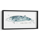 Cetacea Cuviers Beaked Whale - June Erica Vess | Cuadro decorativo de Canvas Lab