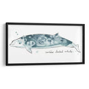 Cetacea Cuviers Beaked Whale - June Erica Vess | Cuadro decorativo de Canvas Lab