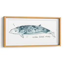 Cetacea Cuviers Beaked Whale - June Erica Vess | Cuadro decorativo de Canvas Lab