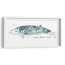 Cetacea Cuviers Beaked Whale - June Erica Vess | Cuadro decorativo de Canvas Lab