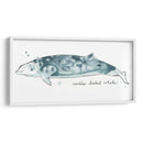 Cetacea Cuviers Beaked Whale - June Erica Vess | Cuadro decorativo de Canvas Lab