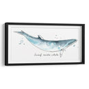 Cetacea Enano Minke Ballena - June Erica Vess | Cuadro decorativo de Canvas Lab