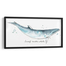 Cetacea Enano Minke Ballena - June Erica Vess | Cuadro decorativo de Canvas Lab