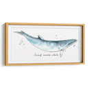 Cetacea Enano Minke Ballena - June Erica Vess | Cuadro decorativo de Canvas Lab
