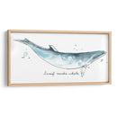 Cetacea Enano Minke Ballena - June Erica Vess | Cuadro decorativo de Canvas Lab