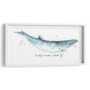 Cetacea Enano Minke Ballena - June Erica Vess | Cuadro decorativo de Canvas Lab