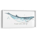 Cetacea Enano Minke Ballena - June Erica Vess | Cuadro decorativo de Canvas Lab