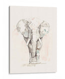 Pastel Safari Ii - Jennifer Goldberger | Cuadro decorativo de Canvas Lab