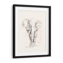 Pastel Safari Ii - Jennifer Goldberger | Cuadro decorativo de Canvas Lab