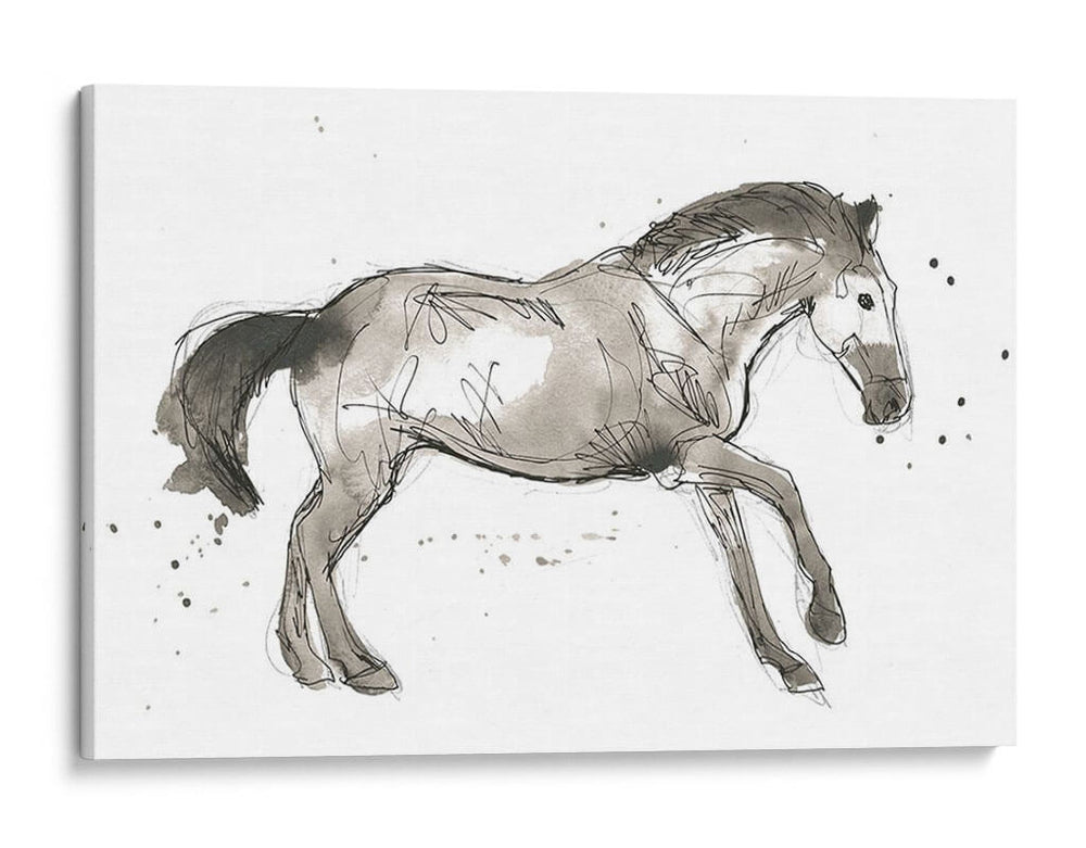 Impresiones Equinas I - June Erica Vess | Cuadro decorativo de Canvas Lab