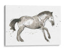 Impresiones Equinas I - June Erica Vess | Cuadro decorativo de Canvas Lab