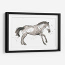 Impresiones Equinas I - June Erica Vess | Cuadro decorativo de Canvas Lab