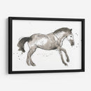 Impresiones Equinas I - June Erica Vess | Cuadro decorativo de Canvas Lab