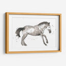 Impresiones Equinas I - June Erica Vess | Cuadro decorativo de Canvas Lab