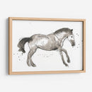 Impresiones Equinas I - June Erica Vess | Cuadro decorativo de Canvas Lab