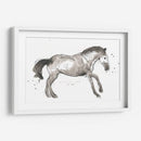 Impresiones Equinas I - June Erica Vess | Cuadro decorativo de Canvas Lab