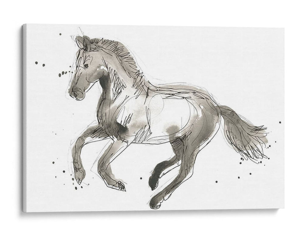 Impresiones Equinas Ii - June Erica Vess | Cuadro decorativo de Canvas Lab