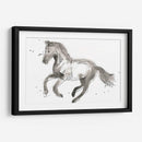 Impresiones Equinas Ii - June Erica Vess | Cuadro decorativo de Canvas Lab