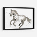 Impresiones Equinas Ii - June Erica Vess | Cuadro decorativo de Canvas Lab