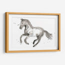 Impresiones Equinas Ii - June Erica Vess | Cuadro decorativo de Canvas Lab