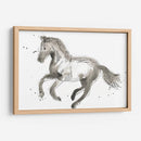 Impresiones Equinas Ii - June Erica Vess | Cuadro decorativo de Canvas Lab