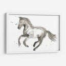 Impresiones Equinas Ii - June Erica Vess | Cuadro decorativo de Canvas Lab