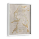 Impresiones De Ornitología Ii - Alexander Wilson | Cuadro decorativo de Canvas Lab