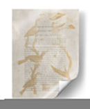 Impresiones De Ornitología Ii - Alexander Wilson | Cuadro decorativo de Canvas Lab