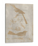 Impresiones De Ornitología Iii - Alexander Wilson | Cuadro decorativo de Canvas Lab