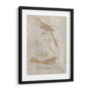 Impresiones De Ornitología Iii - Alexander Wilson | Cuadro decorativo de Canvas Lab