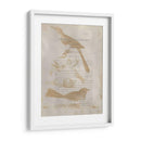 Impresiones De Ornitología Iii - Alexander Wilson | Cuadro decorativo de Canvas Lab