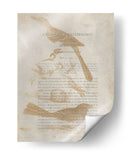 Impresiones De Ornitología Iii - Alexander Wilson | Cuadro decorativo de Canvas Lab