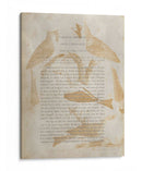 Impresiones De Ornitología Iv - Alexander Wilson | Cuadro decorativo de Canvas Lab