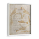 Impresiones De Ornitología Iv - Alexander Wilson | Cuadro decorativo de Canvas Lab