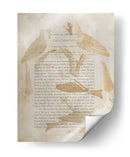 Impresiones De Ornitología Iv - Alexander Wilson | Cuadro decorativo de Canvas Lab