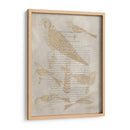 Impresiones De Ornitología V - Alexander Wilson | Cuadro decorativo de Canvas Lab