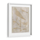 Impresiones De Ornitología V - Alexander Wilson | Cuadro decorativo de Canvas Lab