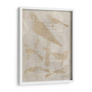 Impresiones De Ornitología V - Alexander Wilson | Cuadro decorativo de Canvas Lab