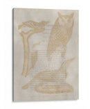 Impresiones De Ornitología Vi - Alexander Wilson | Cuadro decorativo de Canvas Lab