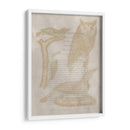 Impresiones De Ornitología Vi - Alexander Wilson | Cuadro decorativo de Canvas Lab