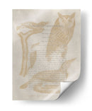 Impresiones De Ornitología Vi - Alexander Wilson | Cuadro decorativo de Canvas Lab