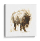 Bisonte Rústico I - Ethan Harper | Cuadro decorativo de Canvas Lab