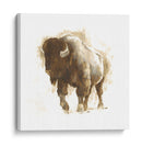 Bisonte Rústico Ii - Ethan Harper | Cuadro decorativo de Canvas Lab