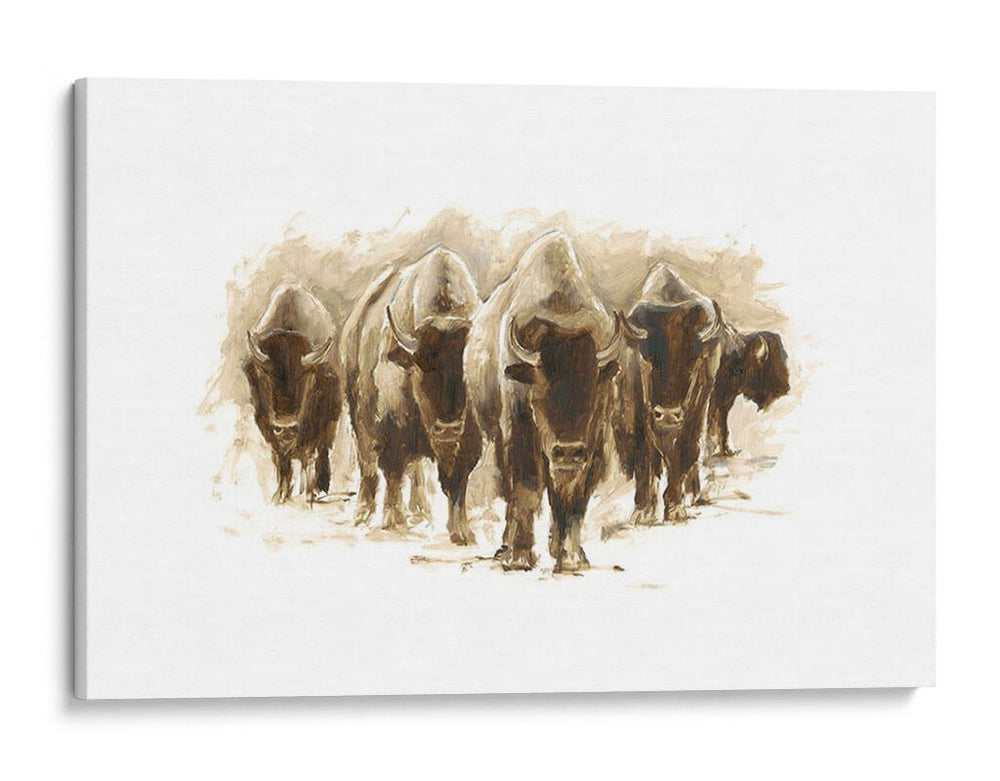 Rebaño De Bisonte I - Ethan Harper | Cuadro decorativo de Canvas Lab