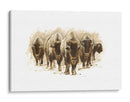 Rebaño De Bisonte I - Ethan Harper | Cuadro decorativo de Canvas Lab
