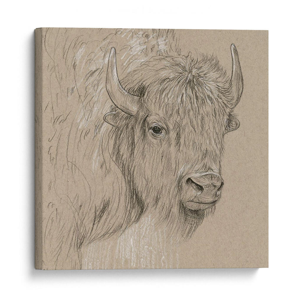 Bisonte Boceto I - Melissa Wang | Cuadro decorativo de Canvas Lab