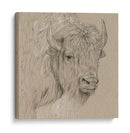 Bisonte Boceto I - Melissa Wang | Cuadro decorativo de Canvas Lab